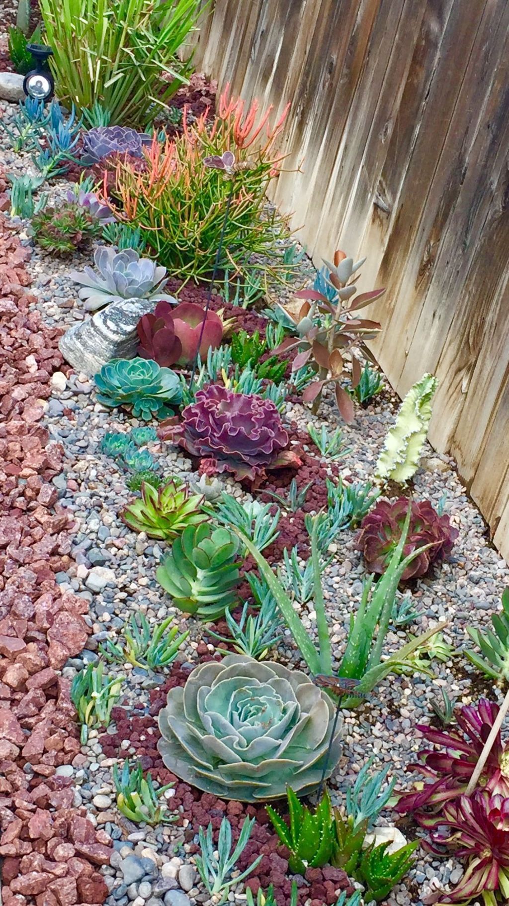 Incredible Cactus Garden Landscaping Ideas Best For Summer 12 Magzhouse 8580