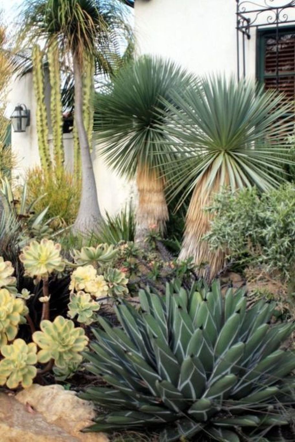 32 Incredible Cactus Garden Landscaping Ideas Best For Summer Magzhouse 8533