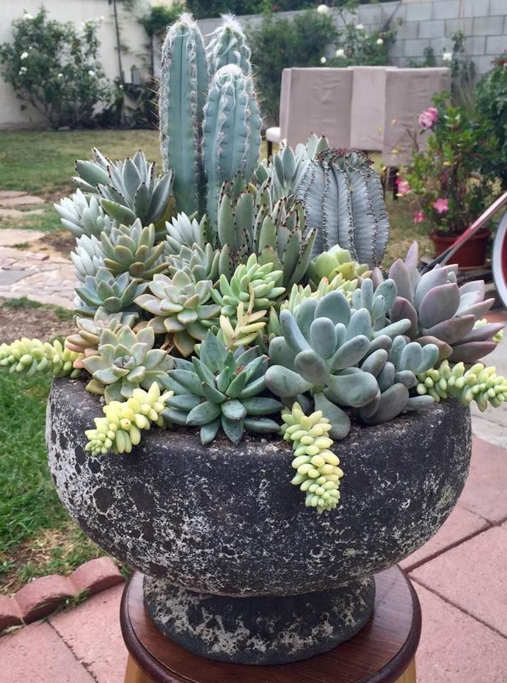 Incredible Cactus Garden Landscaping Ideas Best For Summer 27 - MAGZHOUSE