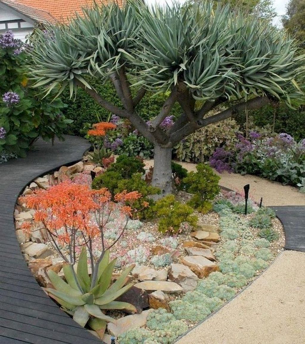 Incredible Cactus Garden Landscaping Ideas Best For Summer 28 - MAGZHOUSE