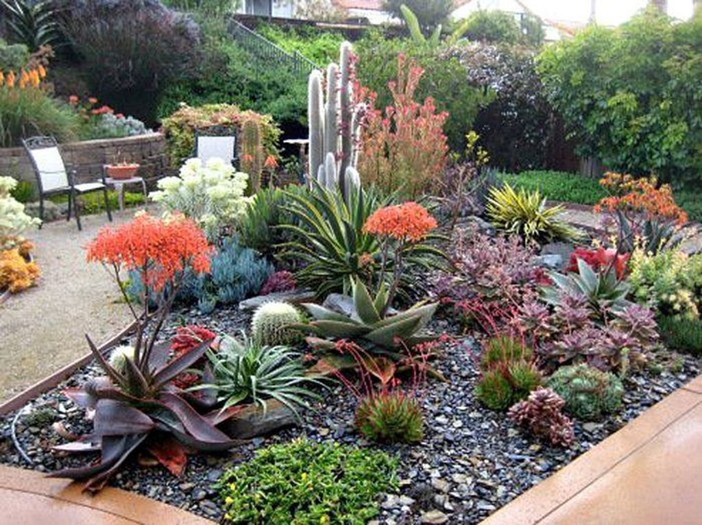 Incredible Cactus Garden Landscaping Ideas Best For Summer 32