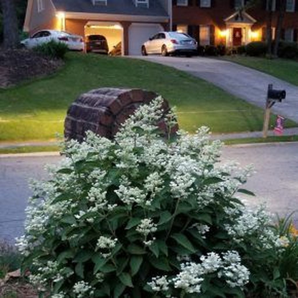 Beautiful Hydrangea Design Ideas Landscaping Your Front Yard 05