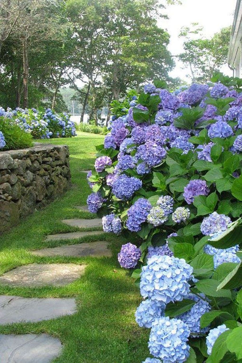Beautiful Hydrangea Design Ideas Landscaping Your Front Yard 23 - MAGZHOUSE