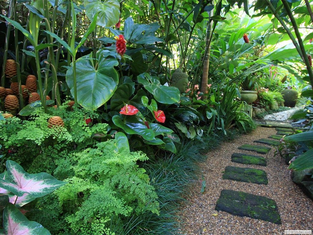 34 Lovely Tropical Garden Design Ideas Magzhouse 5228