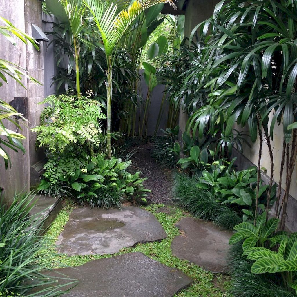 Lovely Tropical Garden Design Ideas Magzhouse