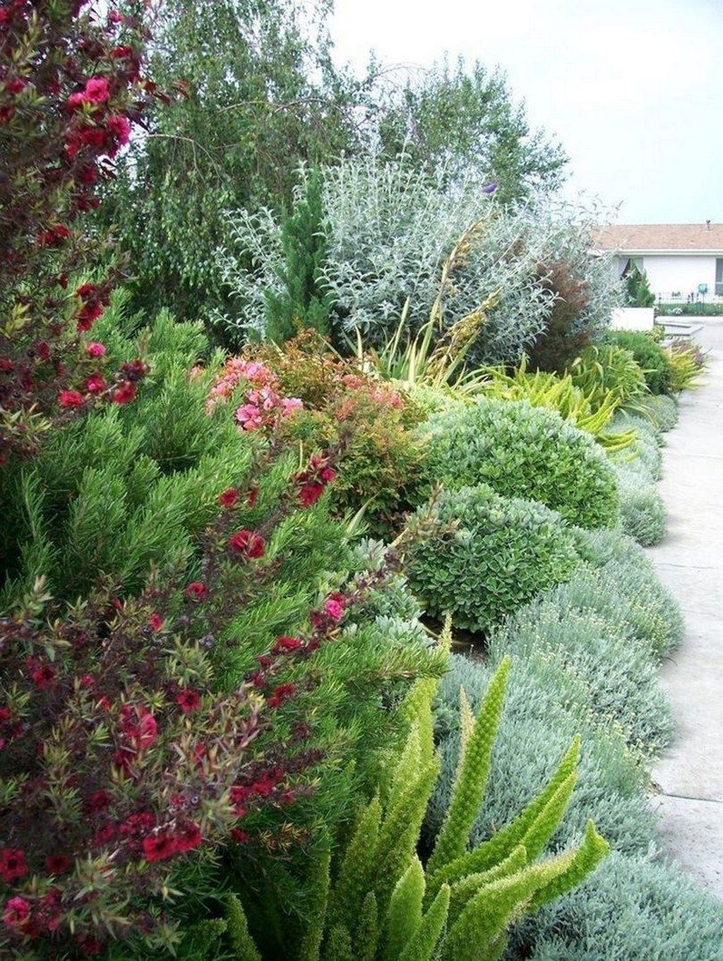 35 Popular Xeriscape Landscape Ideas For Your Front Yard Magzhouse 0511