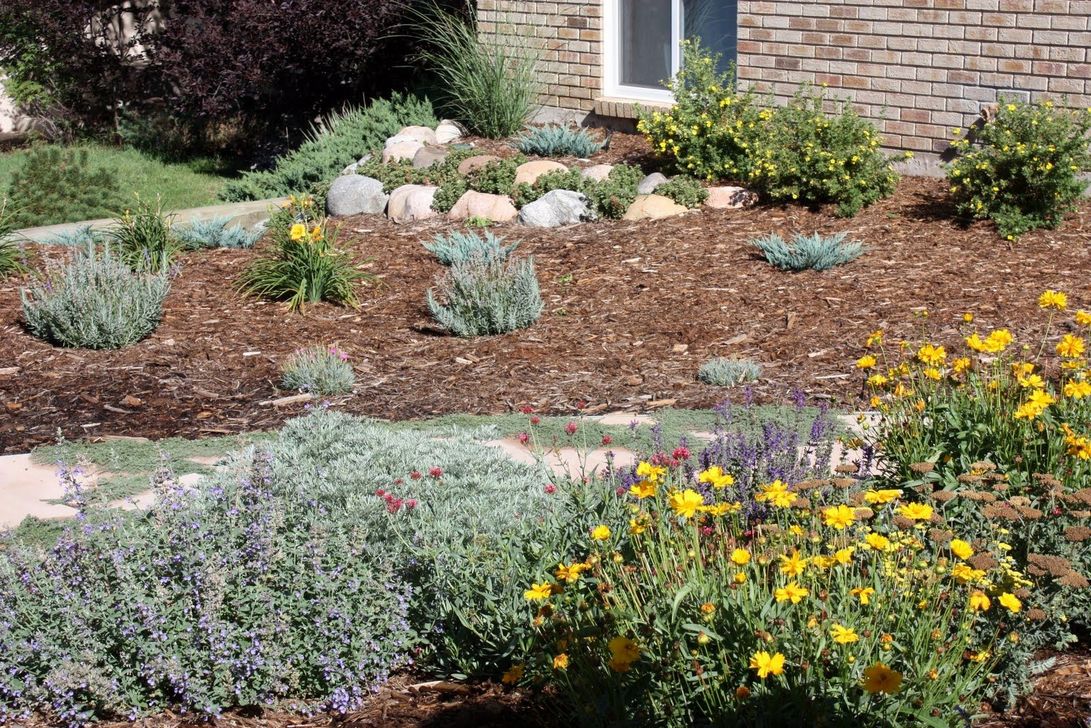 35 Popular Xeriscape Landscape Ideas For Your Front Yard - MAGZHOUSE