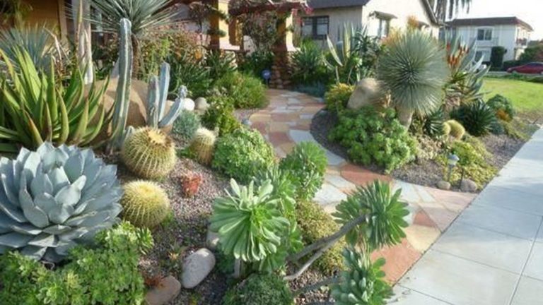 Popular Xeriscape Landscape Ideas For Your Front Yard 34