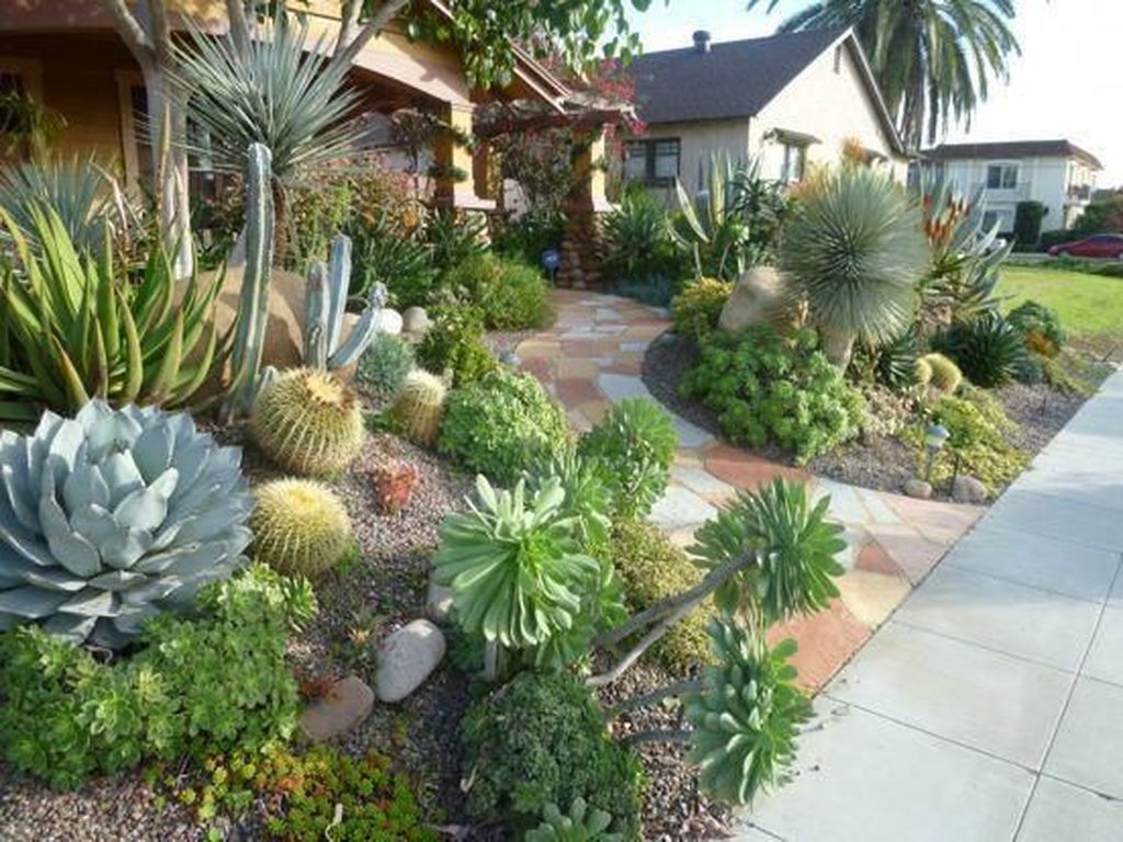 Popular Xeriscape Landscape Ideas For Your Front Yard 34