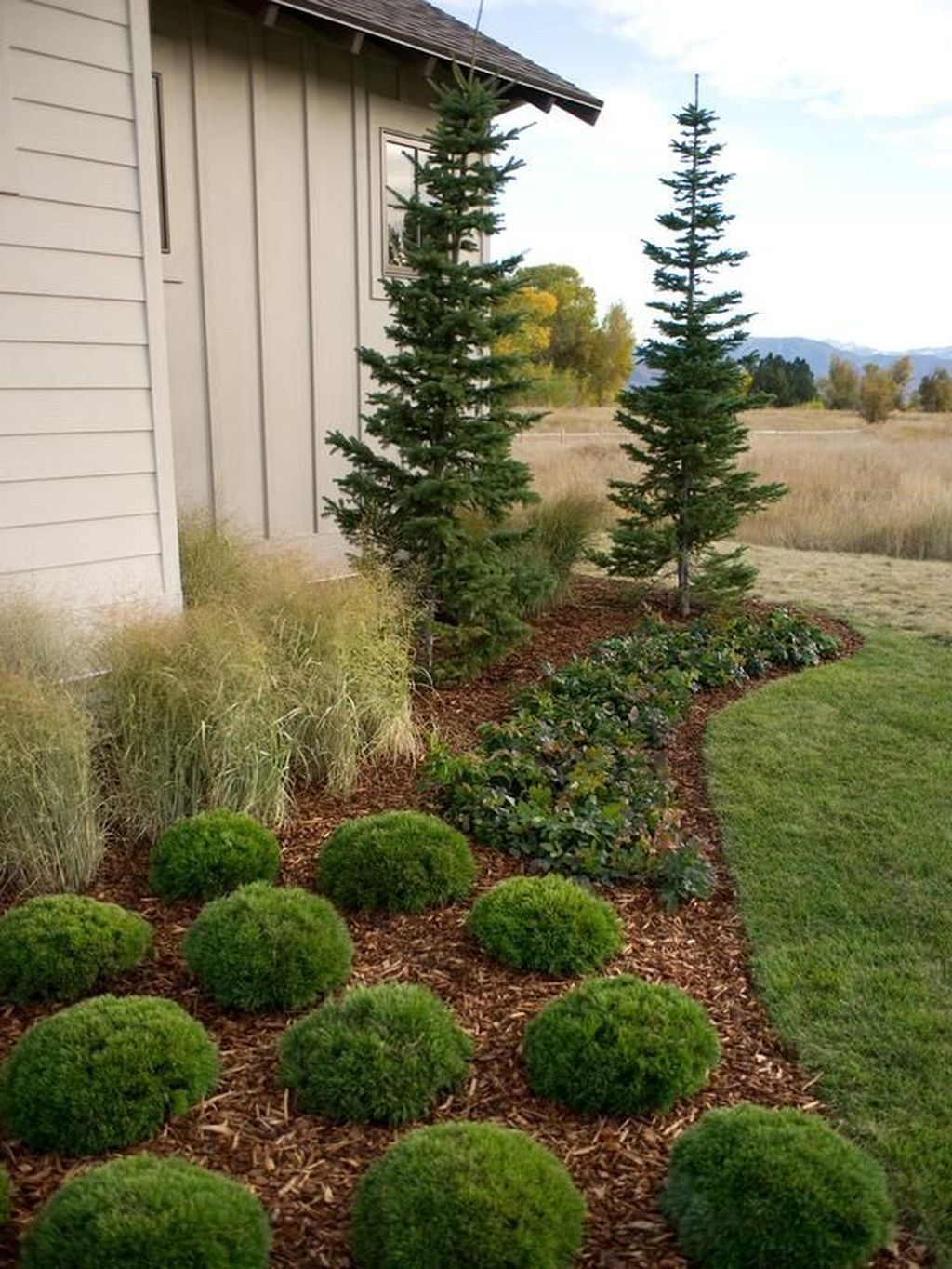 33 Wonderful Evergreen Landscape Ideas For Front Yard - MAGZHOUSE