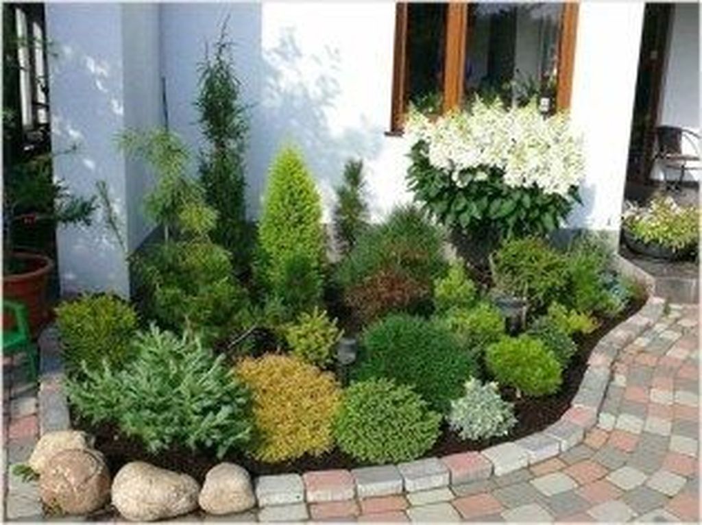 33 Wonderful Evergreen Landscape Ideas For Front Yard - MAGZHOUSE