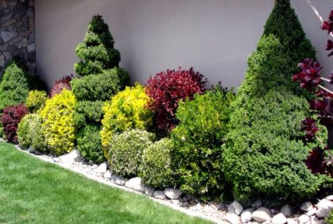 33 Wonderful Evergreen Landscape Ideas For Front Yard - MAGZHOUSE