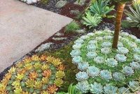 Awesome Succulent Front Yard Landscaping Ideas 01