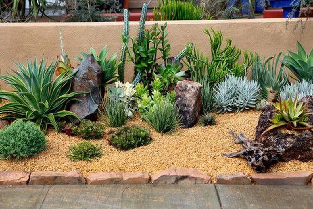 Awesome Succulent Front Yard Landscaping Ideas Magzhouse