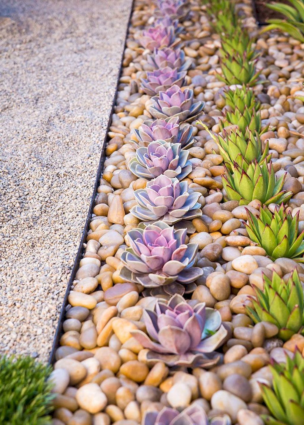 36 Awesome Succulent Front Yard Landscaping Ideas - MAGZHOUSE