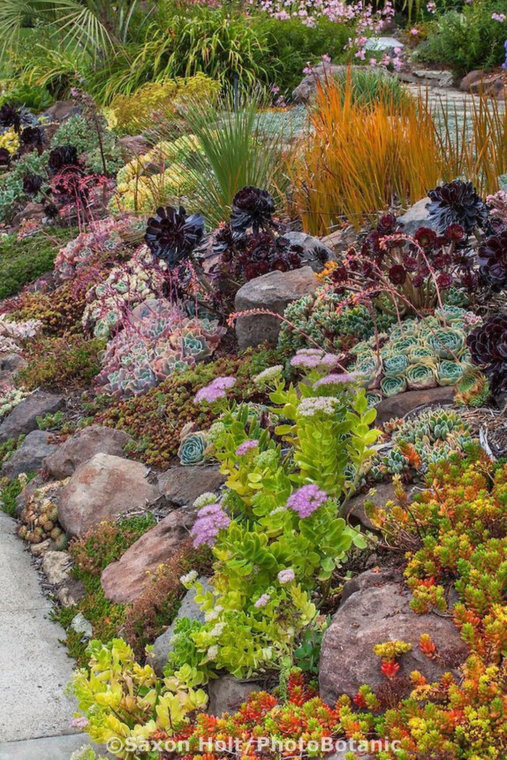 36 Awesome Succulent Front Yard Landscaping Ideas Magzhouse 9331