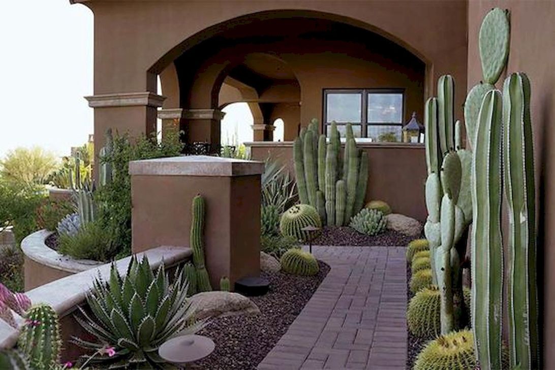 36 Awesome Succulent Front Yard Landscaping Ideas Magzhouse 6941