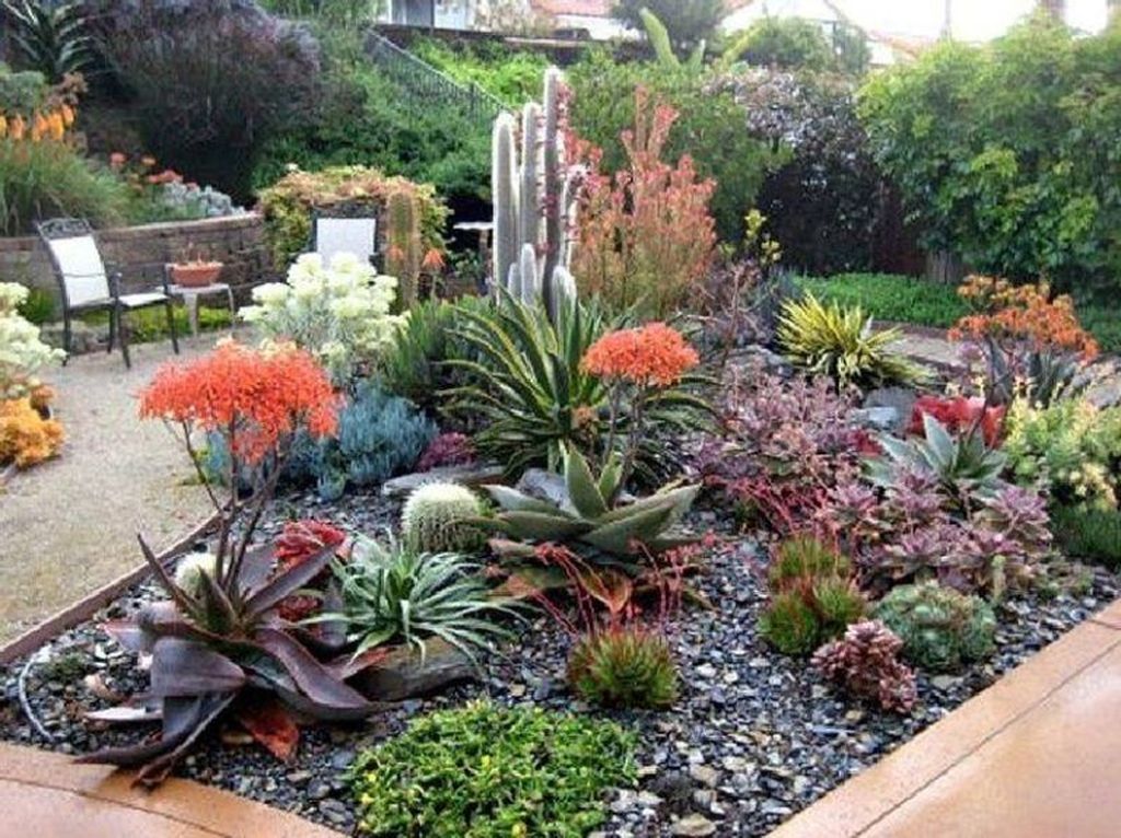 Beautiful Cactus Landscaping Ideas For Your Front Yards Decor 03