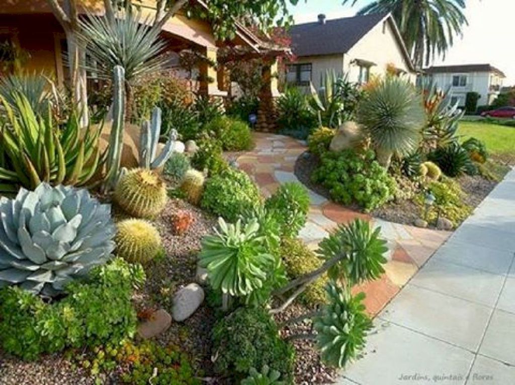 Beautiful Cactus Landscaping Ideas For Your Front Yards Decor 07