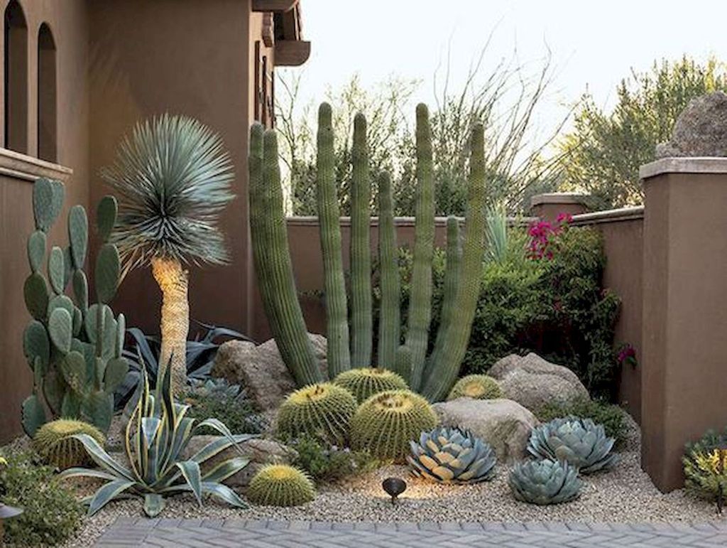 36 Beautiful Cactus Landscaping Ideas For Your Front Yards Decor ...