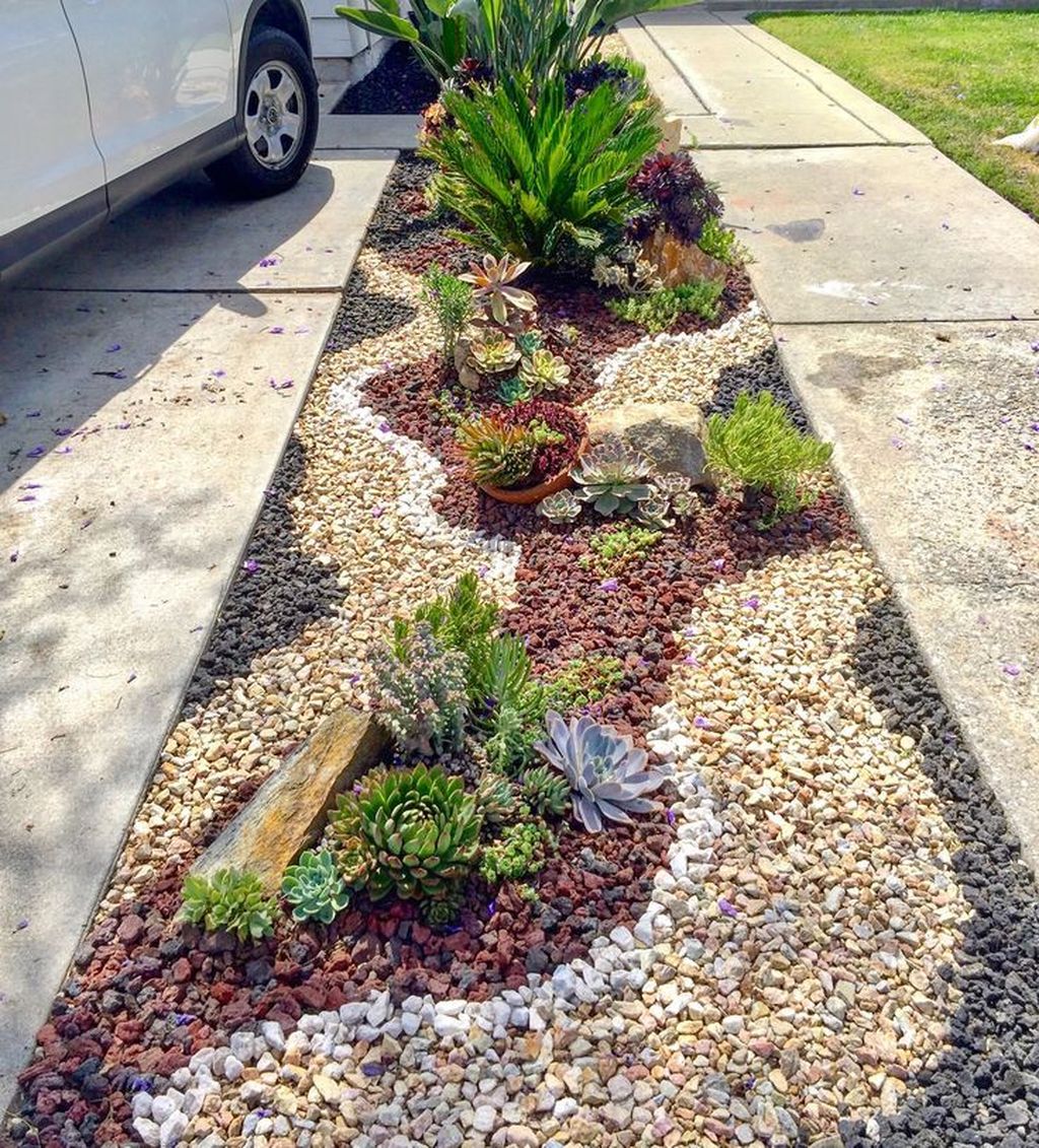 Beautiful Cactus Landscaping Ideas For Your Front Yards Decor 12