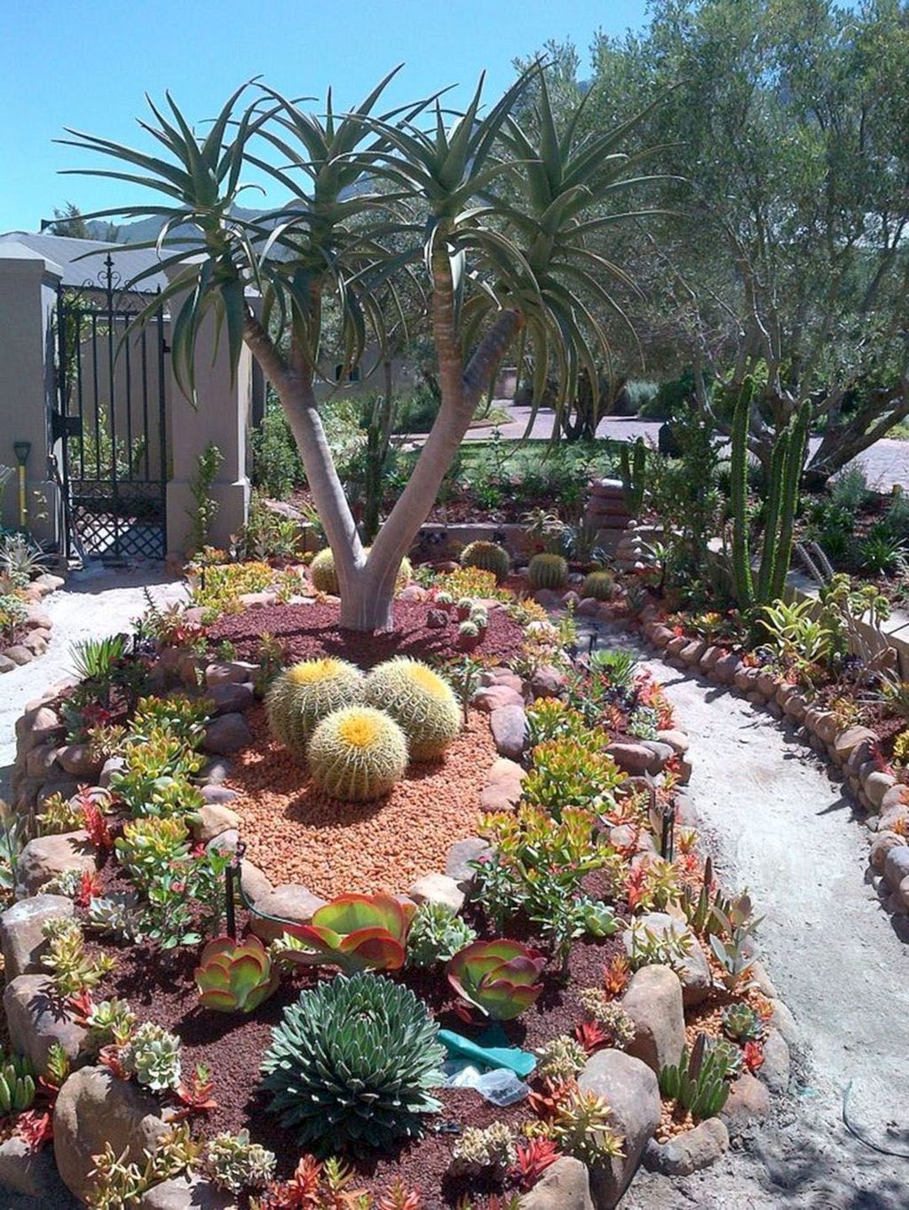 36 Beautiful Cactus Landscaping Ideas For Your Front Yards Decor Magzhouse 3660