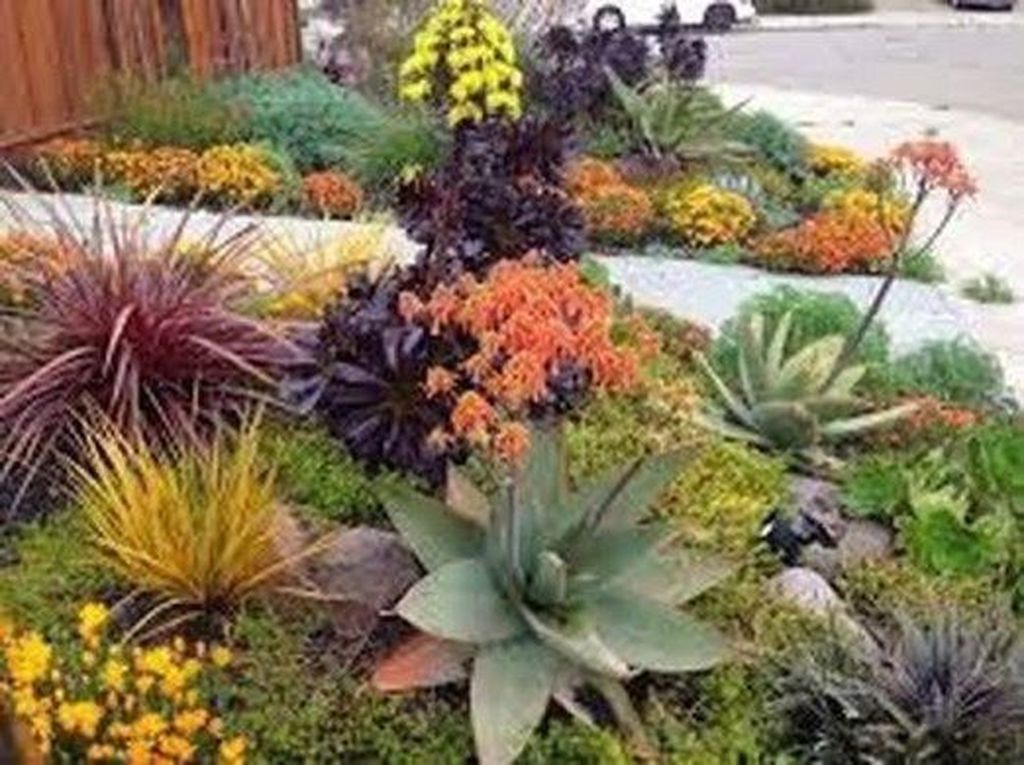 36 Beautiful Cactus Landscaping Ideas For Your Front Yards Decor Magzhouse