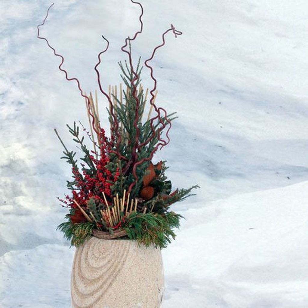 Inspiring Winter Container Gardening Ideas 07