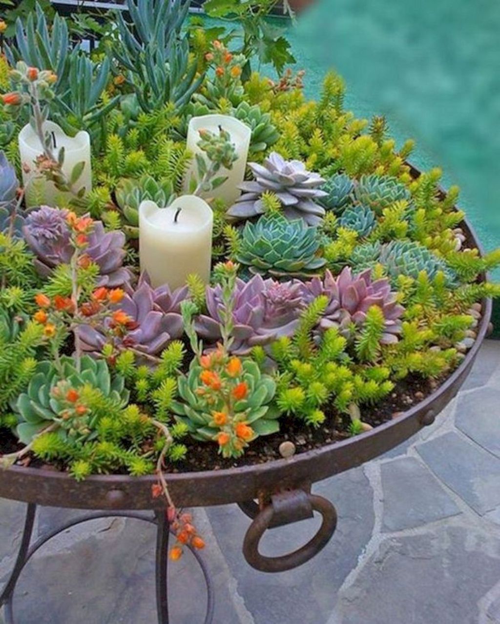 Beautiful Outdoor Succulent Planter Ideas Magzhouse