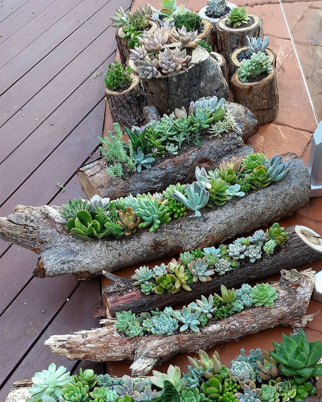 31 Beautiful Outdoor Succulent Planter Ideas - MAGZHOUSE