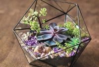 Inspiring Indoor Garden Succulent Ideas 10