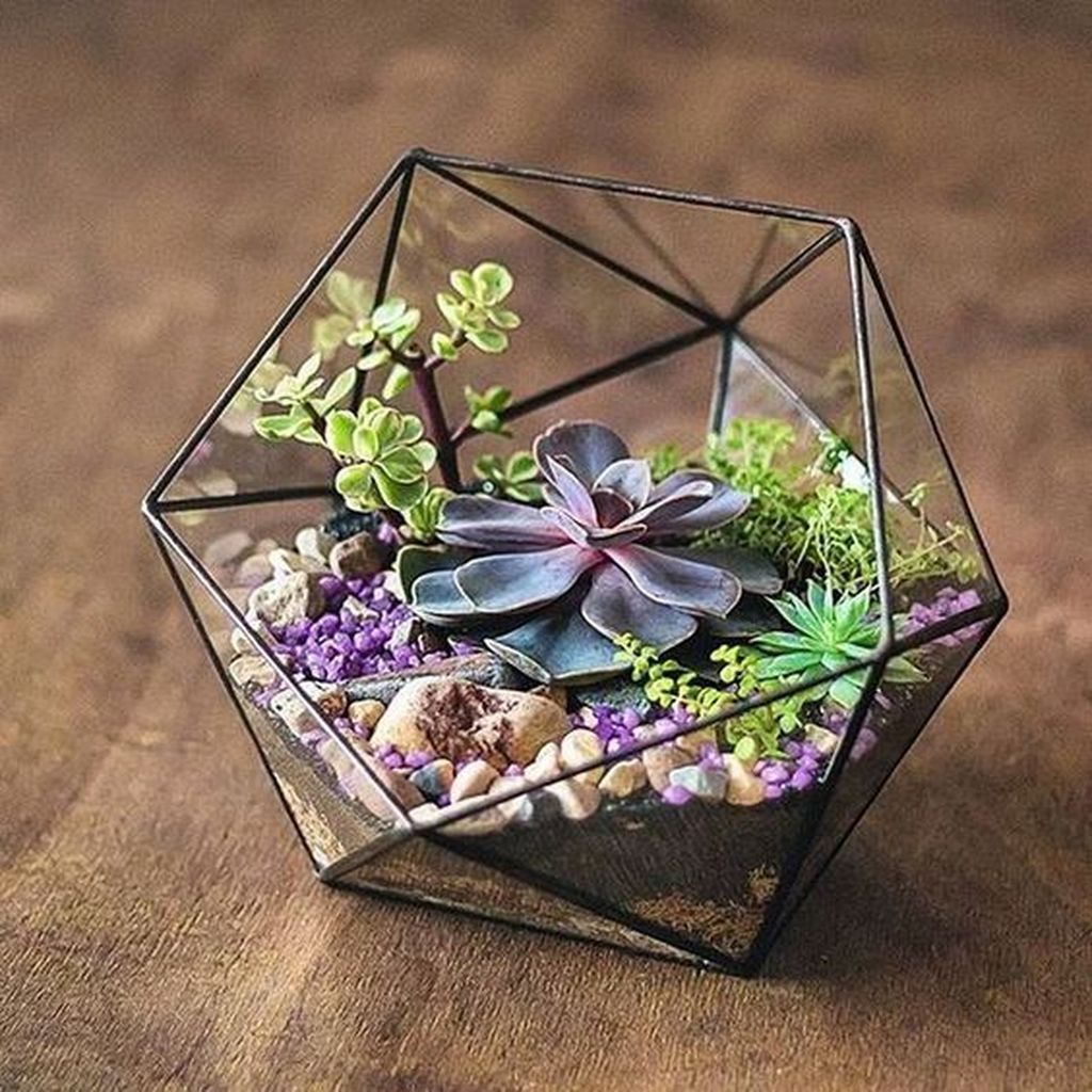 Inspiring Indoor Garden Succulent Ideas 10