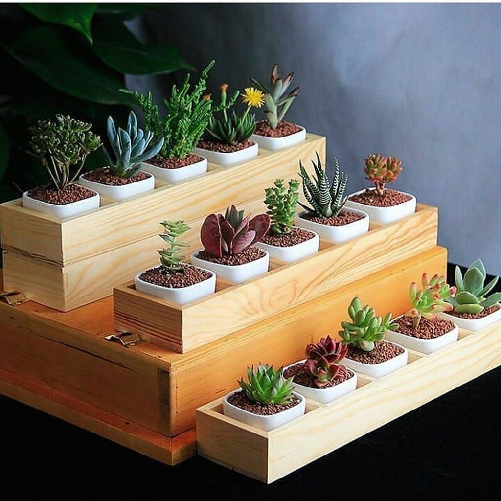 34 Inspiring Indoor Garden Succulent Ideas - MAGZHOUSE