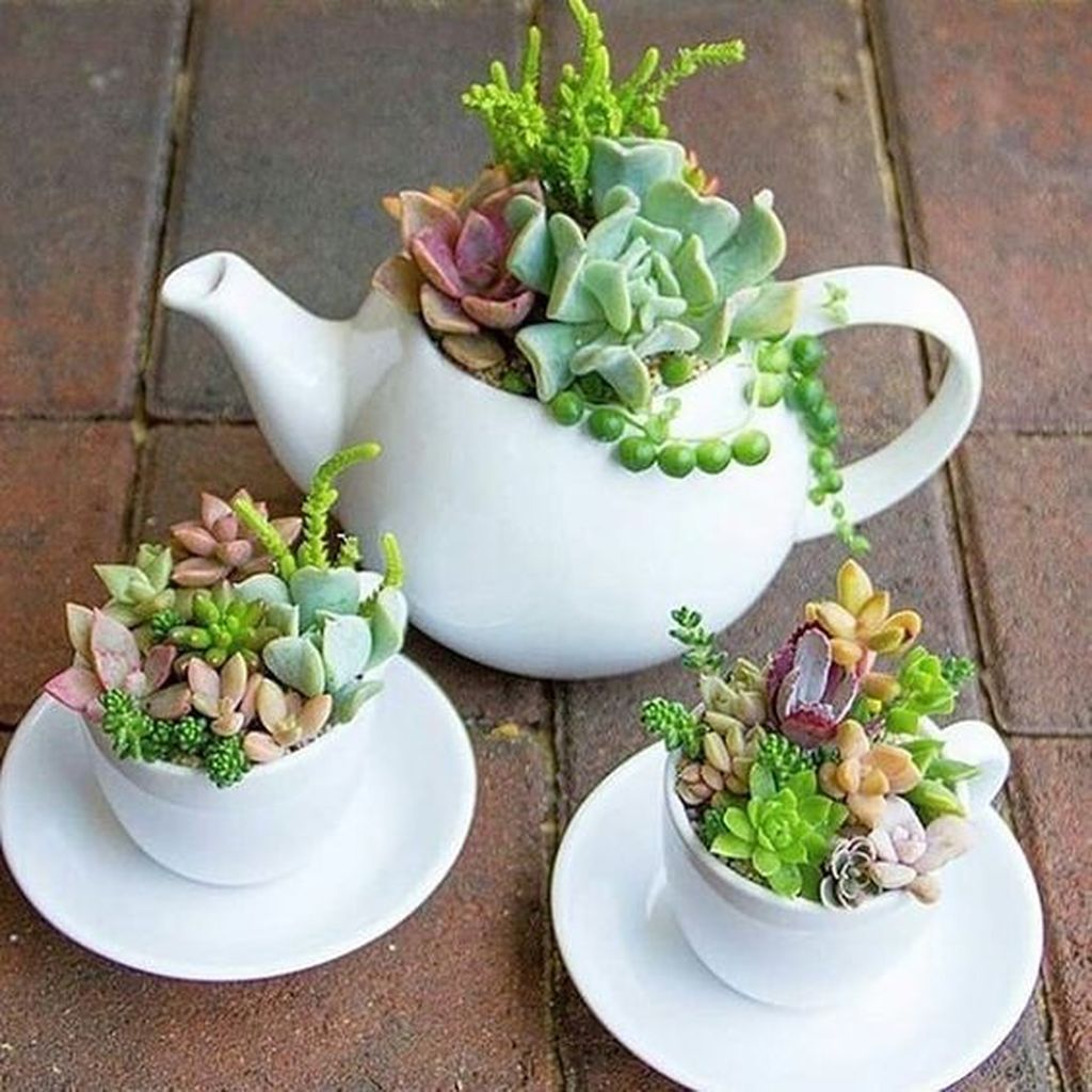 34 Inspiring Indoor Garden Succulent Ideas Magzhouse