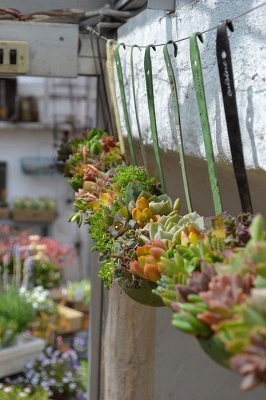 34 Inspiring Indoor Garden Succulent Ideas - MAGZHOUSE