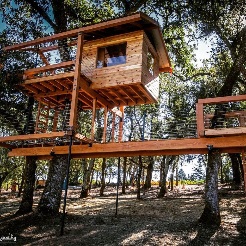 Stunning Tree House Designs You Never Seen Before 11 