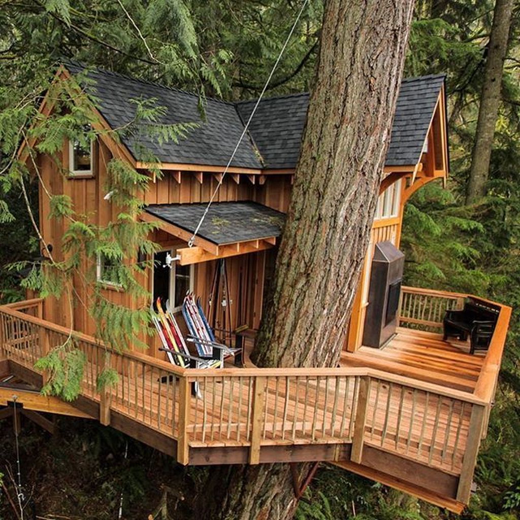Stunning Tree House Designs You Never Seen Before 23