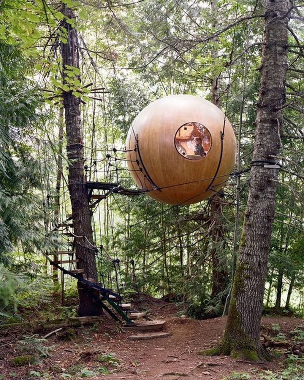 Stunning Tree House Designs You Never Seen Before 25 - MAGZHOUSE