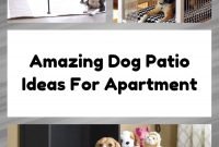Amazing Dog Patio Ideas For Apartment
