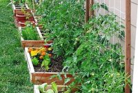 Backyard Vegetable Garden Ideas