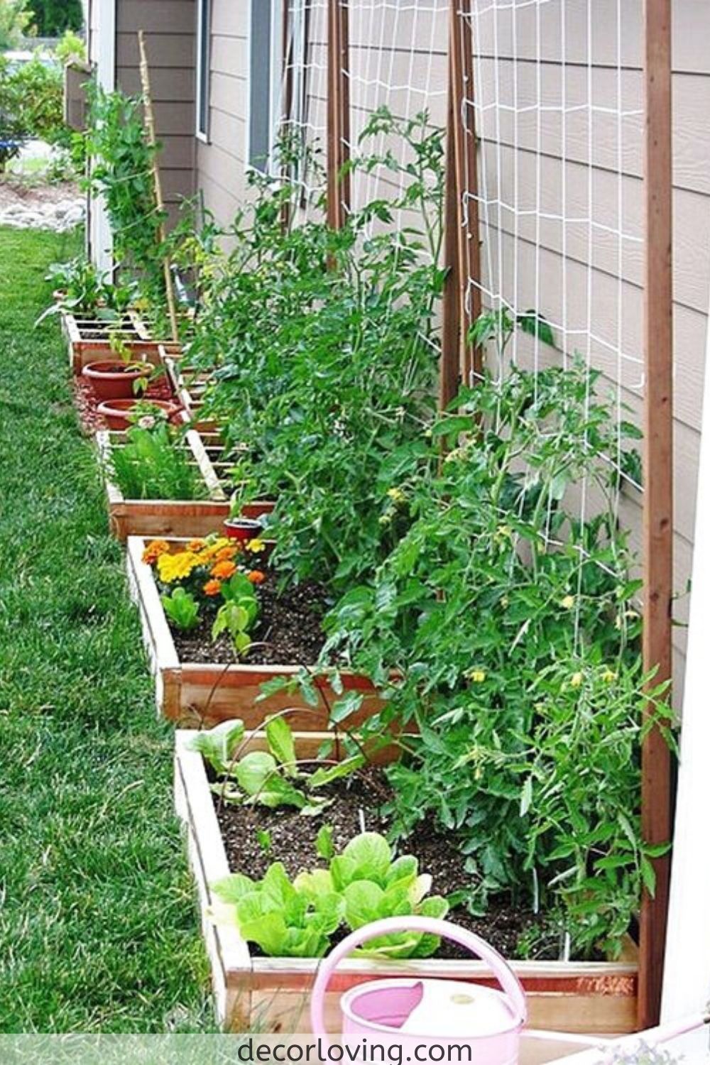 20 Backyard Vegetable Garden Ideas, Making A Backyard Vegetable Garden