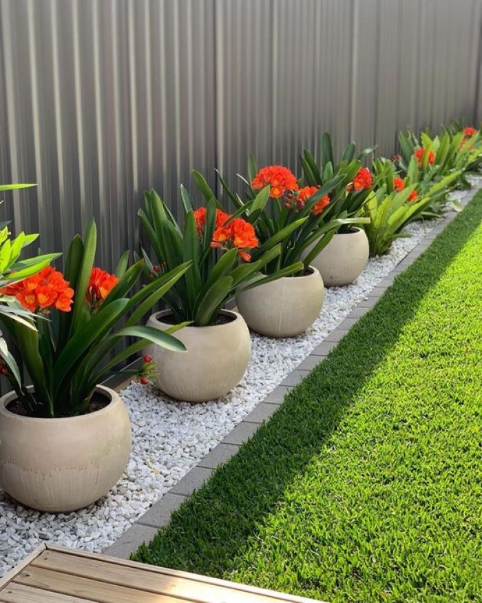  Front Yard Planter Ideas Magzhouse