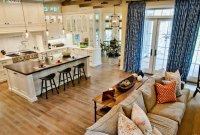 Open Concept Kitchen And Living Room