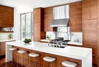 Modern Wood Kitchen Cabinets