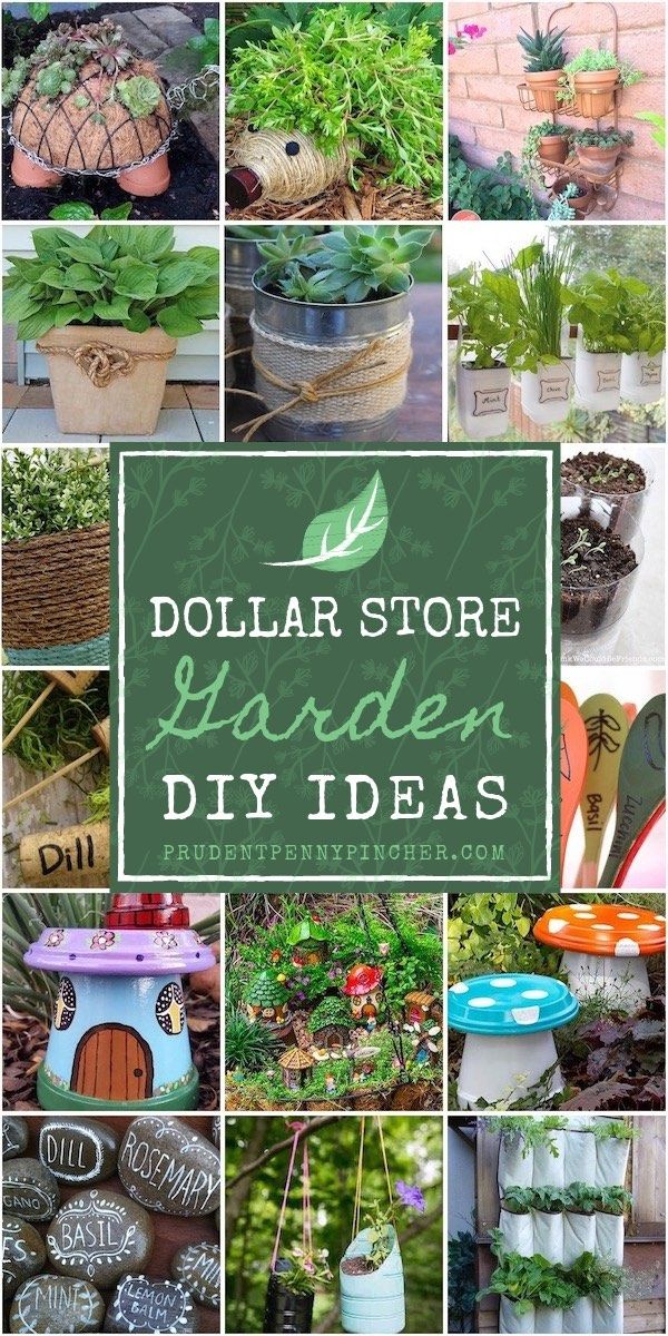 Dollar Tree Garden Ideas