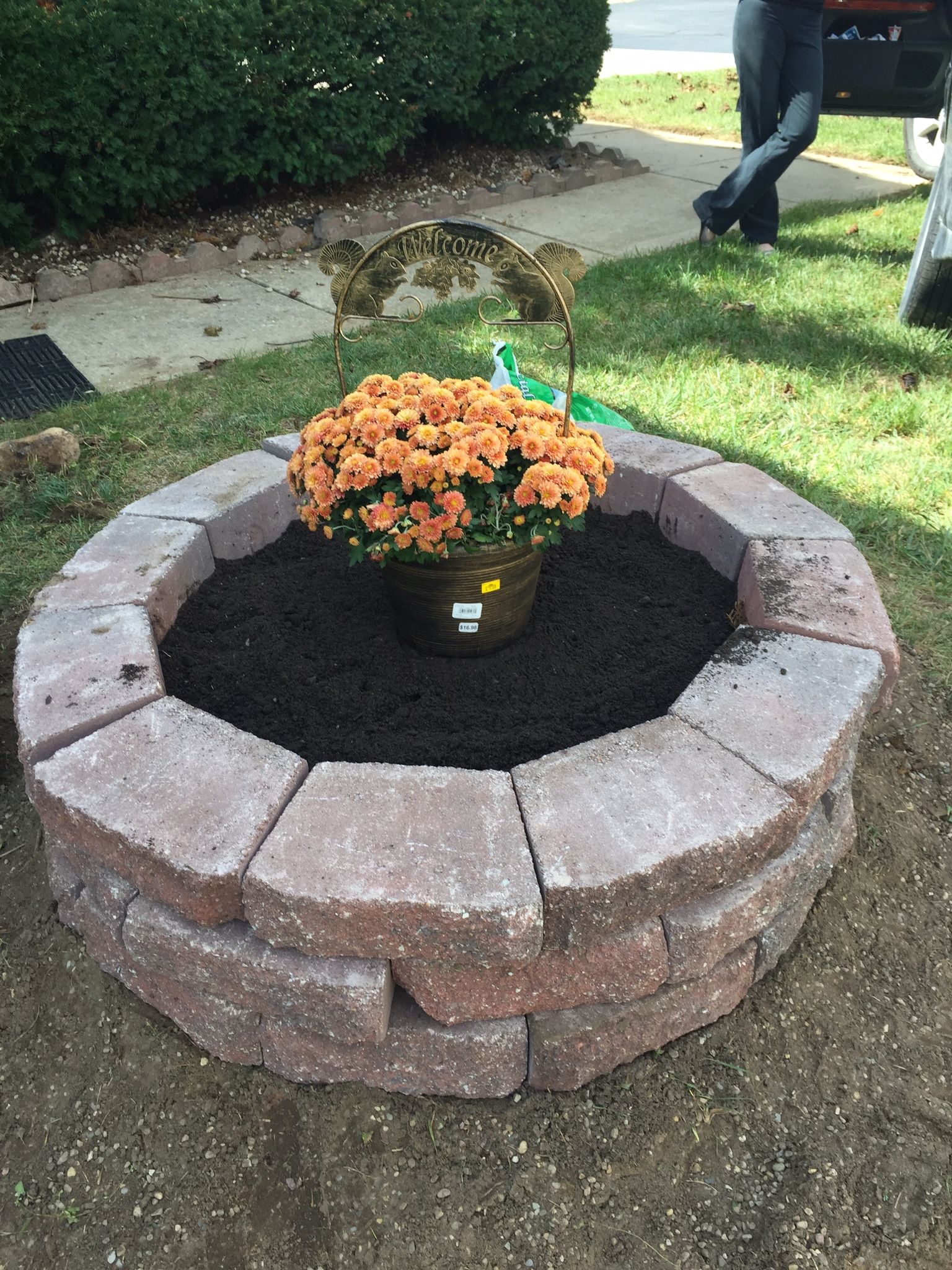 What To Do With Tree Stump In Front Yard