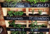 Pallet Herb Garden Ideas