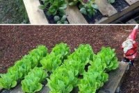 Simple Vegetable Garden Ideas