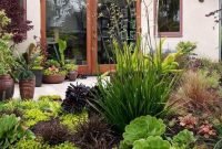 Southern California Garden Ideas