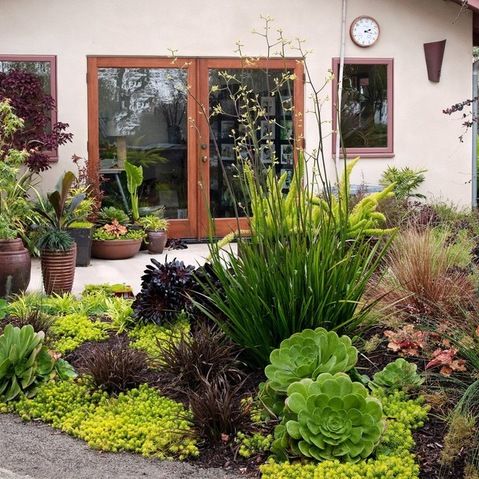 20 Southern California Garden Ideas, Socal Landscaping Ideas
